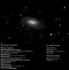 NGC 2903 net.jpg (116289 byte)