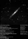 NGC 4244 net.jpg (128363 byte)