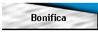 Bonifica