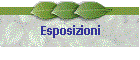 Esposizioni