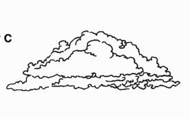 Image of cumulus cloud