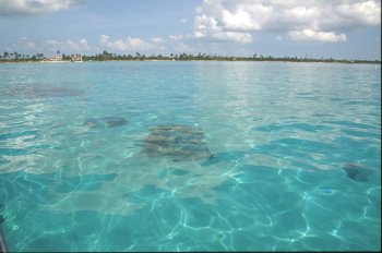 Ambergris Caye - Mexico rocks