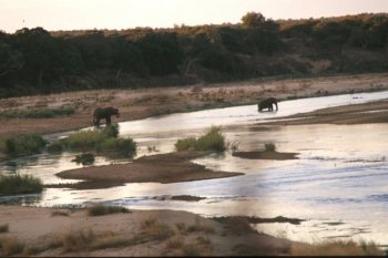 il fiume Letaba