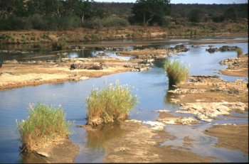 il fiume Olifants