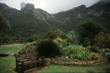 Kirstenbosch botanical gardens 