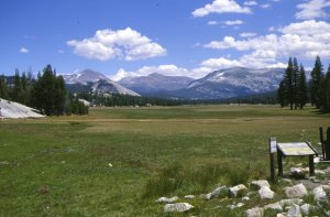 Yosemite - Tuolumne meadows