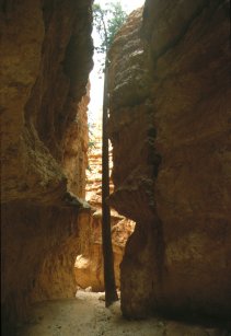 Bryce Canyon