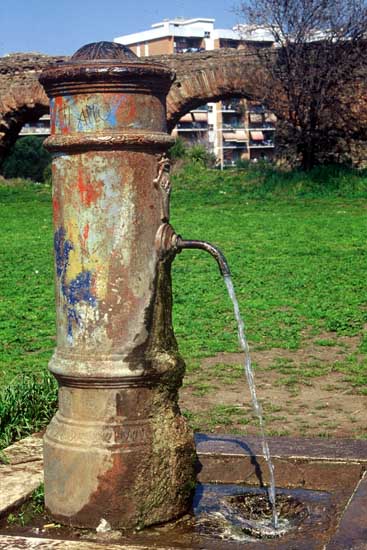 foto di domenico bueti (2)