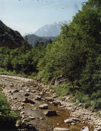Il torrente Leno;
sullo sfondo le Piccole Dolomiti